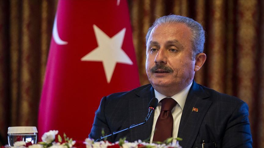 Turkish parliament's head condemns US House Speaker