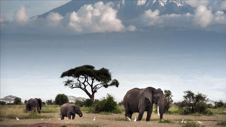 Domestic tourism to prop up Rwanda tourism sector