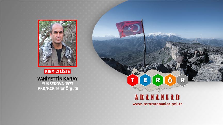 Kırmızı kategoride aranan PKK'lı terörist etkisiz hale getirildi