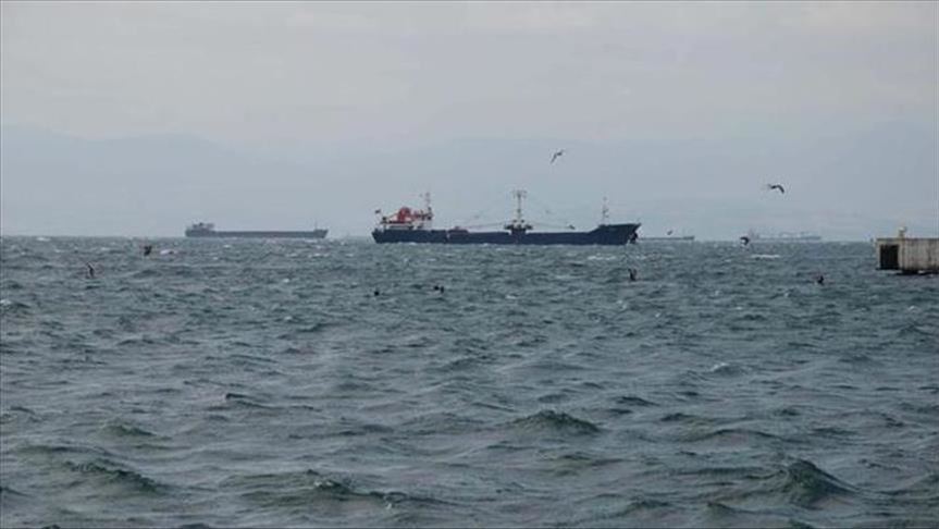 Iranian ships conduct illegal fishing off Yemen coast