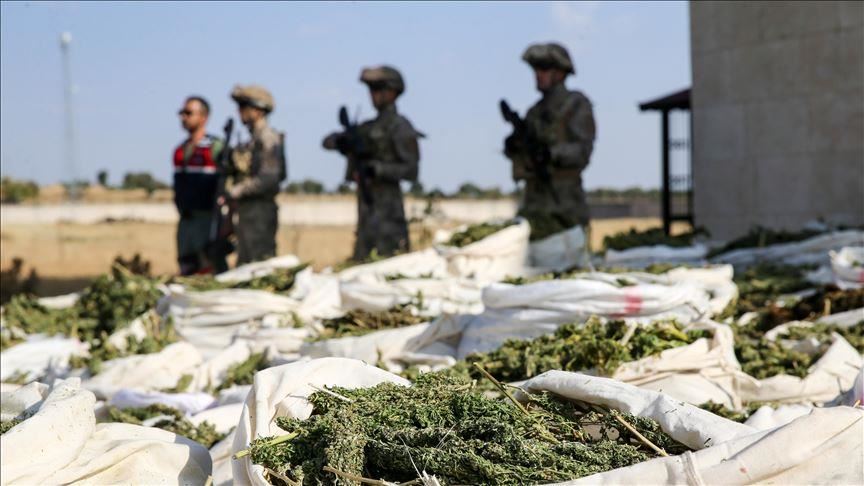 Turkey: 4 tons of marijuana, 236K cannabis roots seized