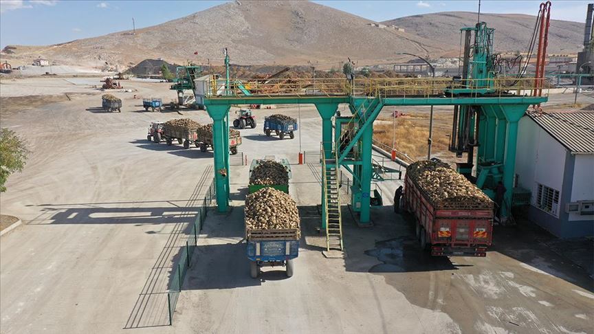 Elbistan'da 50 bin ton şeker üretilmesi hedefleniyor