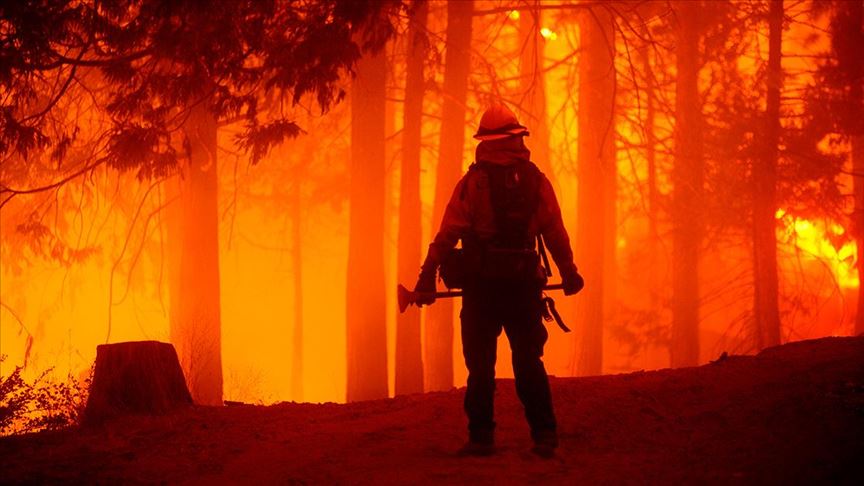 California'daki orman yangınlarında bu yıl rekor düzeyde alan yandı