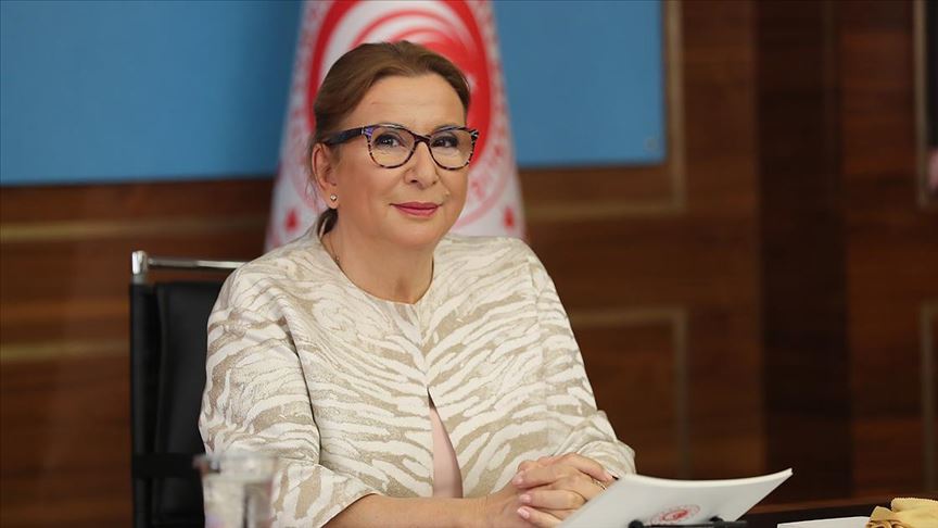 ticaret bakani pekcan bakanlik olarak