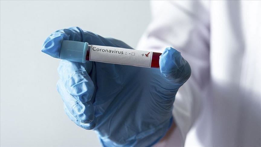 Le Maroc Prepare Deja La Campagne De Vaccination Contre La Covid 19
