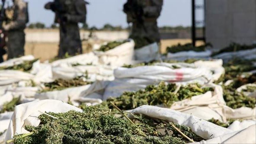 Turkey: Over 221 pounds of marijuana seized