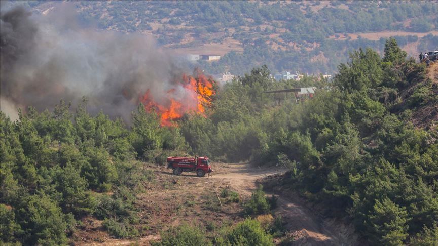 وزیر کشاورزی و جنگلداری ترکیه: آتش‌سوزی جنگلی در استان حتای تحت کنترل است