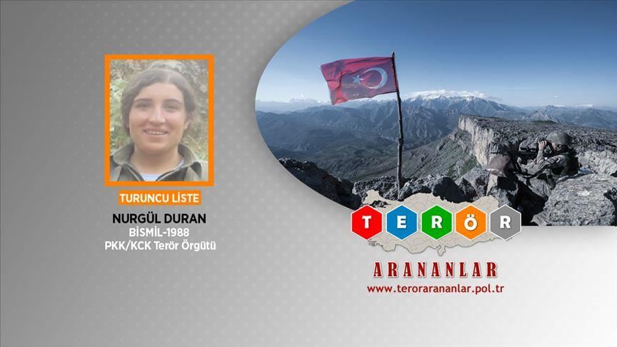 Wanted terrorist among ‘neutralized’ in SE Turkey