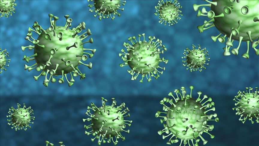 Coronavirus survives on surfaces for 28 days: Study