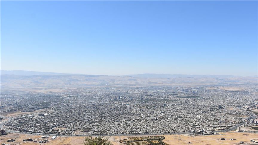 رێژەی سەوزایی لە سلێمانی زیاد دەکرێت