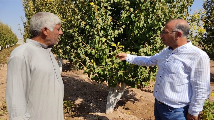 مساعدات تركية للمزارعين في مناطق "نبع السلام" السورية