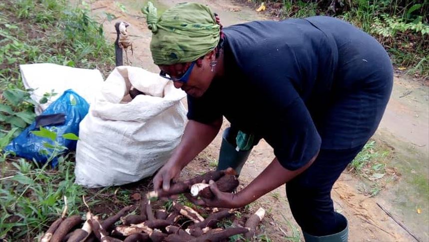 Cameroon: Rural women seek funds, skills to increase yield