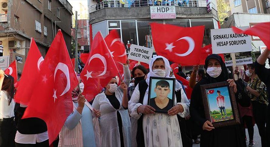 Terror victims' families march in SE Turkey against PKK