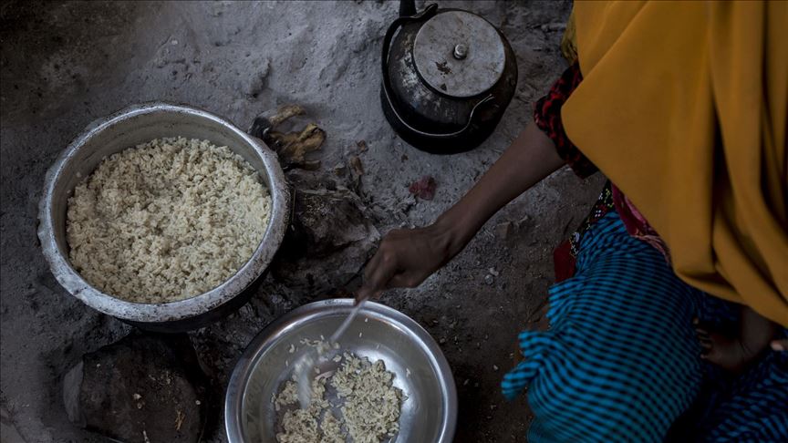 Agencias de la ONU expresan que el 10% de la población mundial padece hambre 