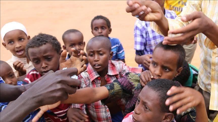 Food security in tatters as locusts ravage East Africa