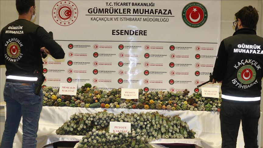 الجمارك التركية تضبط "نباتات هلوسة" قادمة من إيران