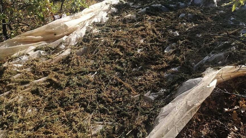 Li Diyarbekirê 994 kîlo esrar û 247 hezar serî kirkirk hat bidestxistin
