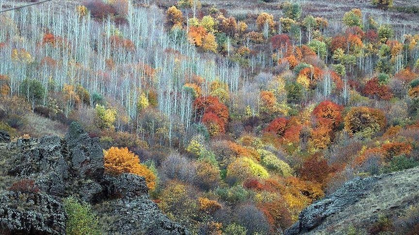 Есенски идилични сцени на планините во градот Агри во Турција 
