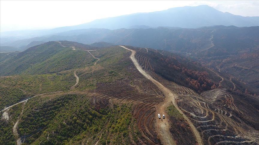 Turkey to plant saplings in fire-hit southern province