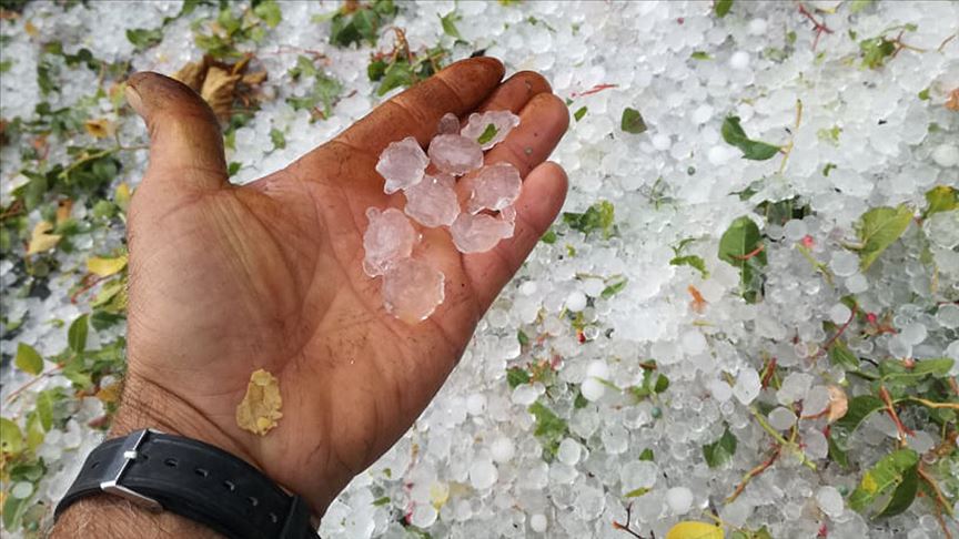 Antalya'da dolu yağışı meyve ağaçlarına zarar verdi