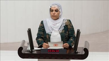 Başsavcılıktan evlat nöbetindeki ailelere hakaret eden HDP'li milletvekili hakkında soruşturma