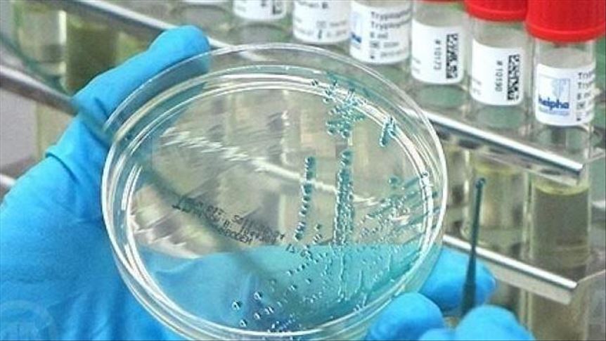 Nigeria: Malaria kills 121 children in 4 months
