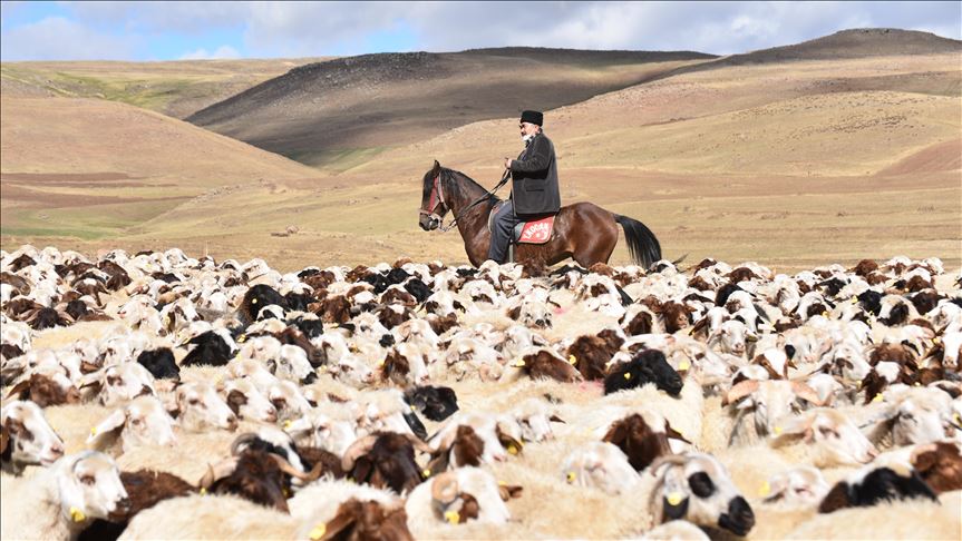 Li Qersê dema beranberdanê dîmenên rengîn derketin holê