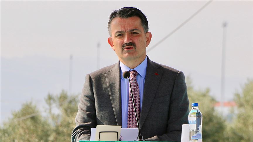 Tarım ve Orman Bakanı Pakdemirli: Çiğ süt destekleme ödemesi bugün yapılacak