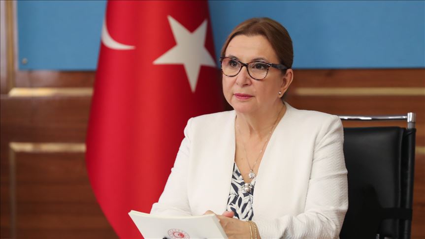 Turska otvara logističke centre za trgovinu širom svijeta