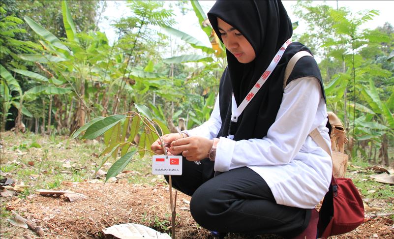 Mahasiswa Indonesia di Turki tanam durian bantu pelajar tak mampu
