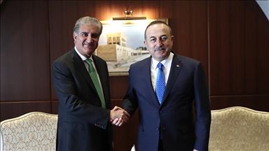 Turkish, Pakistani top diplomats discuss Islamophobia