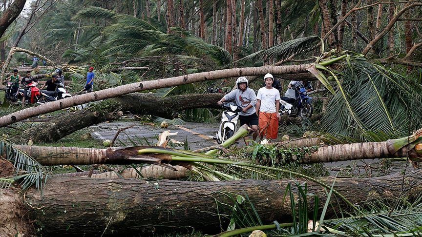 Death toll in Vietnam from Typhoon Molave reaches 13