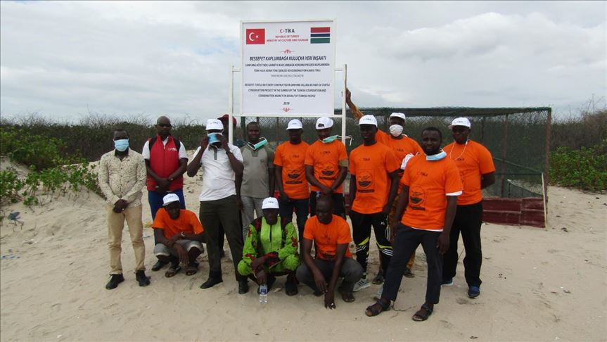  Turkish aid agency helps to conserve turtles in Gambia