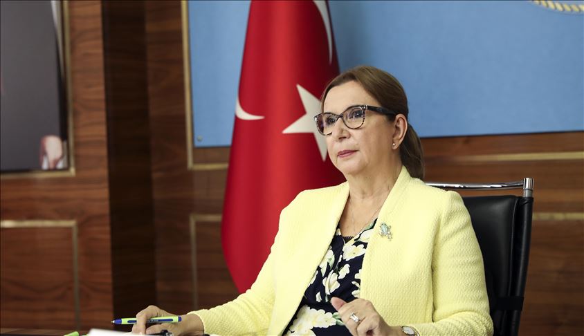وزيرة تركية: تدابير كورونا العالمية يجب أن لا تعرقل حركة التجارة