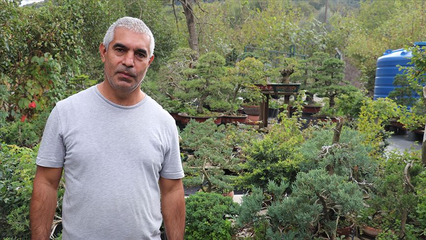 Bahçesinde sergilediği yüzlerce bonsai ile müze kurmayı hedefliyor