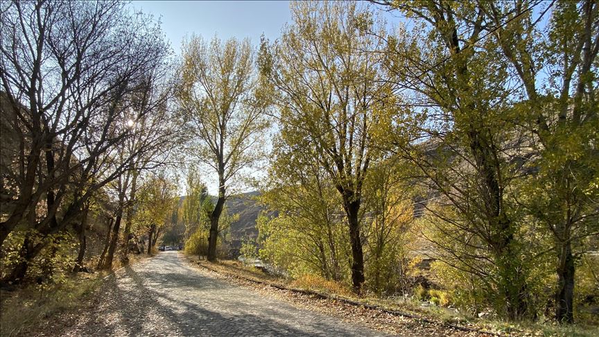 Li demsala payîzê li Qersê dîmenên xweş derketin holê