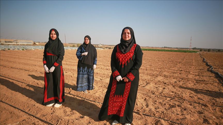 Gazze'de üniversite mezunu işsiz kadınlar, tarıma yöneldi 