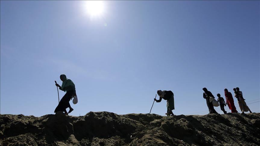 Rohingya wants to co-exist with Rakhine: Activists