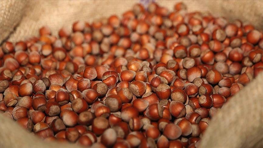Turkey: Hazelnut exports reach 58,622 tons in 2 months