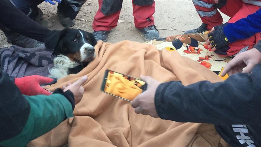 Turkey: Quake victim, dog reunited after 65 hours