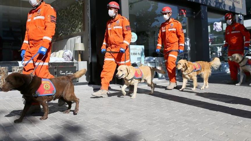 Turkey: Heroic dogs save quake victims' lives