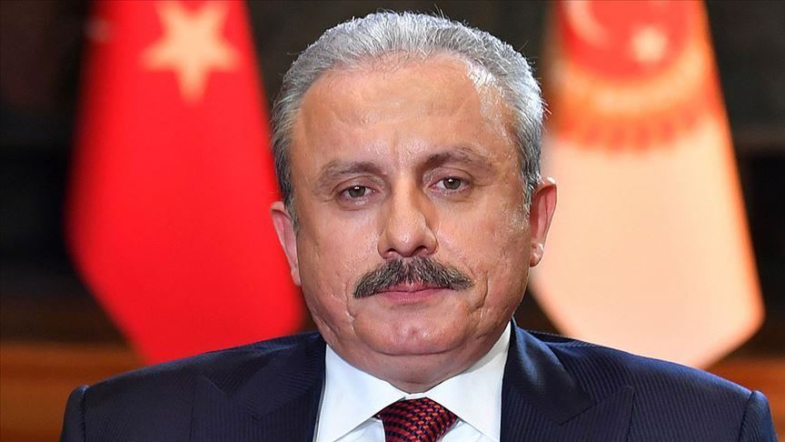 Turkish parliament speaker condemns Vienna attack