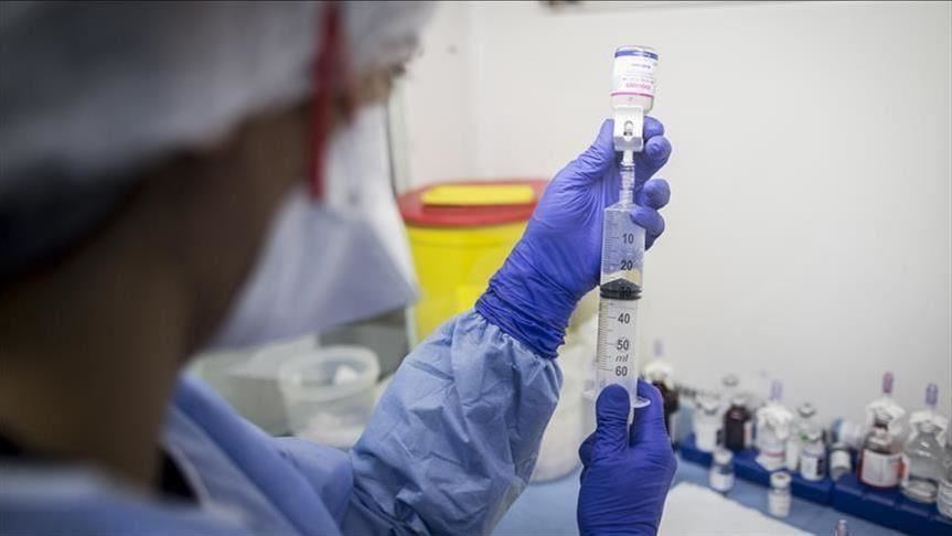 Canada : une première infection par la grippe porcine