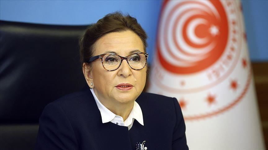 'Turkey has helped exporters with $260M in 2020'