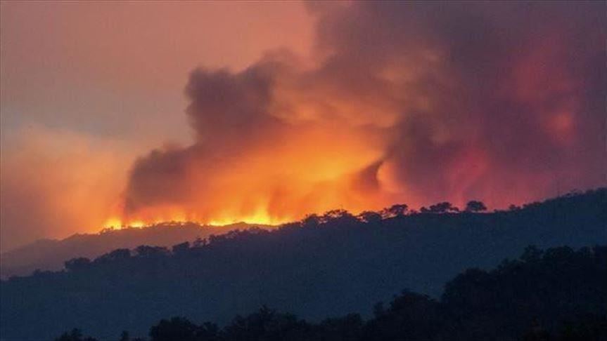 Algérie: deux morts dans des incendies de forêt