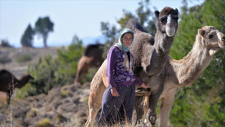 Anadolu'nun bin yıllık konargöçerlik kültürünü Sarıkeçili Yörükleri sürdürüyor