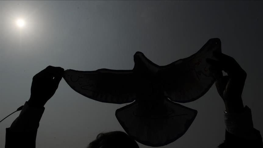 فرنسا.. رسالة عسكرية سقطت من حمام زاجل قبل 110 أعوام