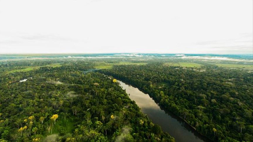 Brasil invitó a diplomáticos de varios países a la Amazonía luego de críticas por deforestación