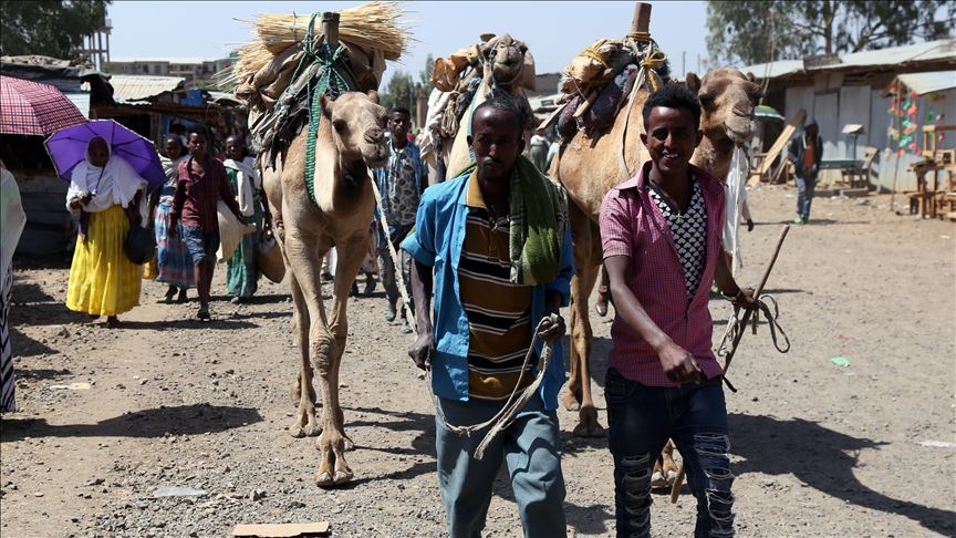 Ost Afrika Krige Am Rot Meer Analyse Der Tigray Krieg In Athiopien Wird Der Sudan Verwunden Nz