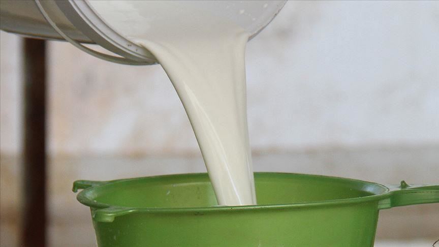 Turkey collects over 7.5M tons of cow milk in 9 months